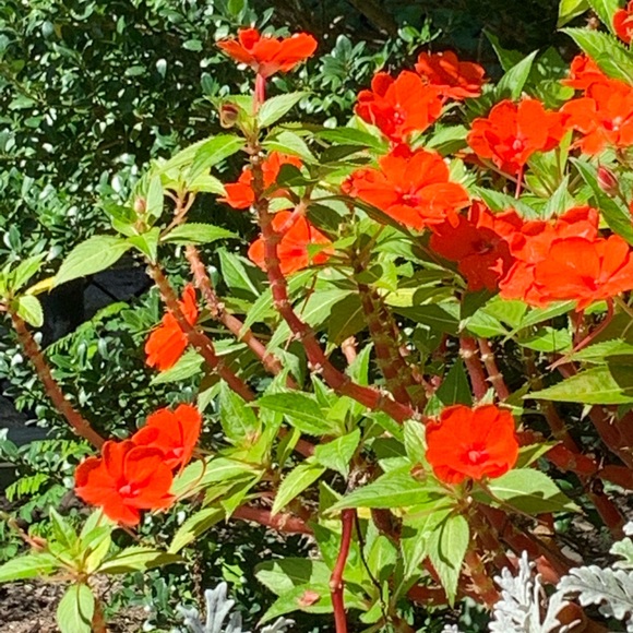 Meet your Posher, April - Picture 1 of 1